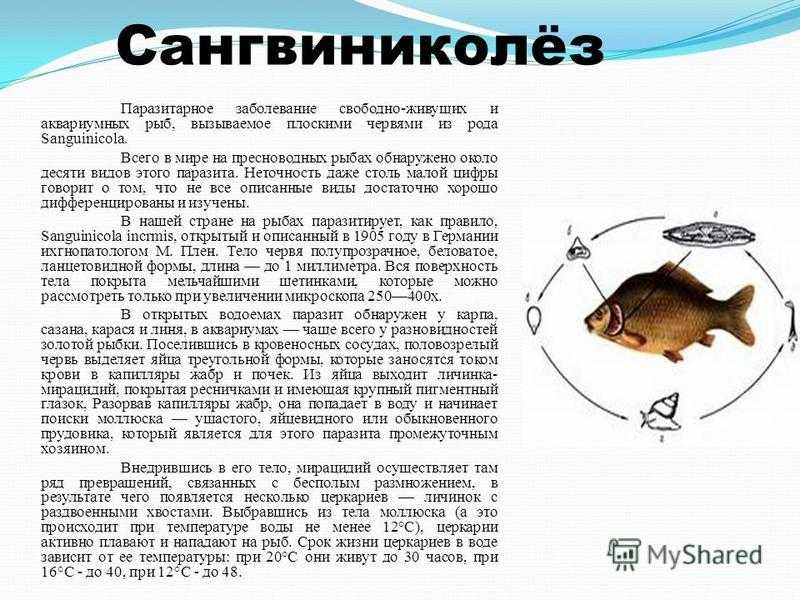 Болезни, вызываемые гельминтами (гельминтозы) [1979 крзюков ю.а. - болезни аквариумных рыб]