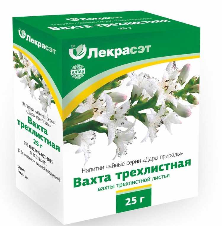 Вахта трехлистная (трилистник): описание, лечебные свойства растения и противопоказания