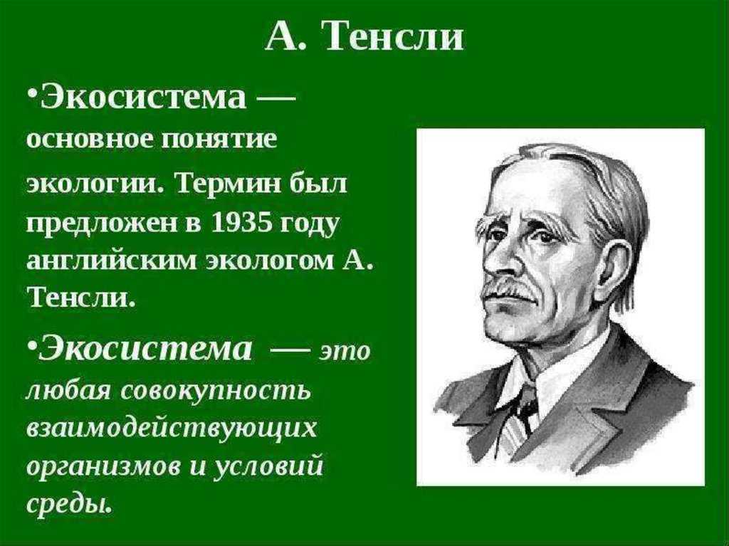 Что такое экосистема - узнай что такое