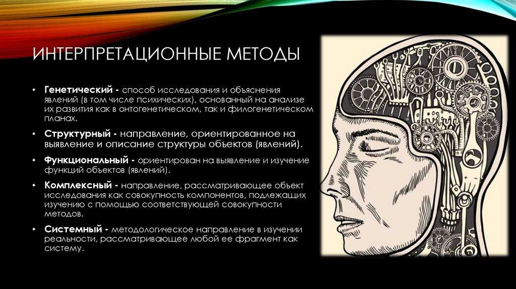 Филогенетическое дерево