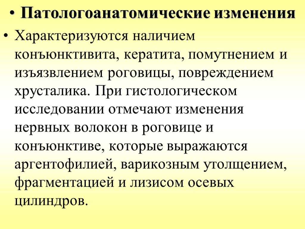 Филяриатозы у животных и человека