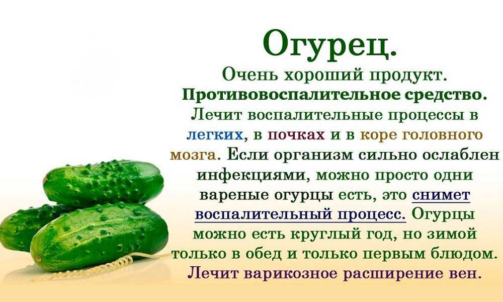 Что такое огурец: ягода, овощ или фрукт?