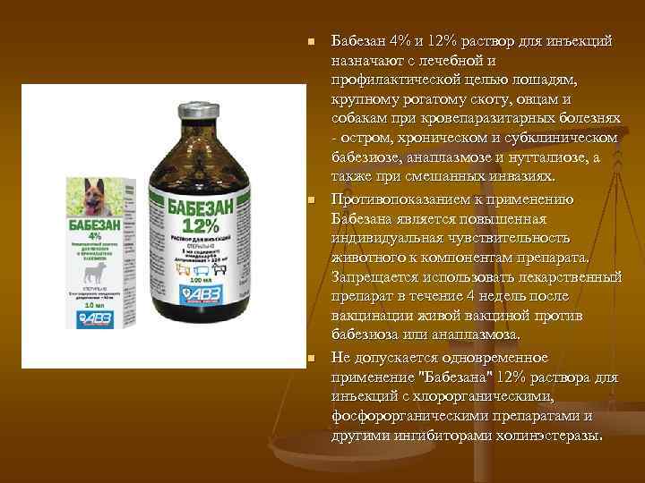 Пироплазмоз крс: признаки и паразитология, симптомы и лечение
