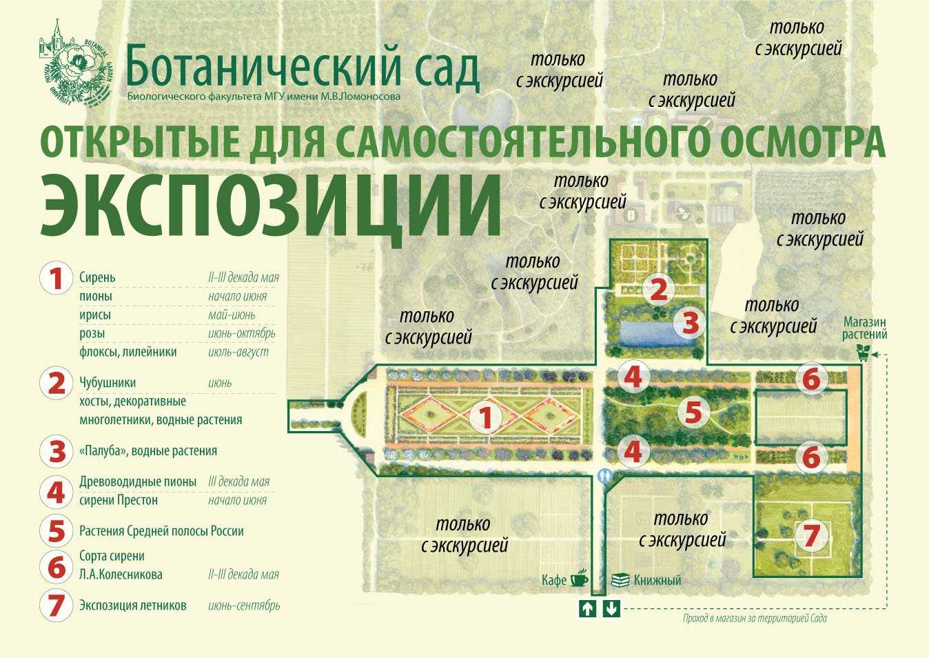 Физиология деревьев