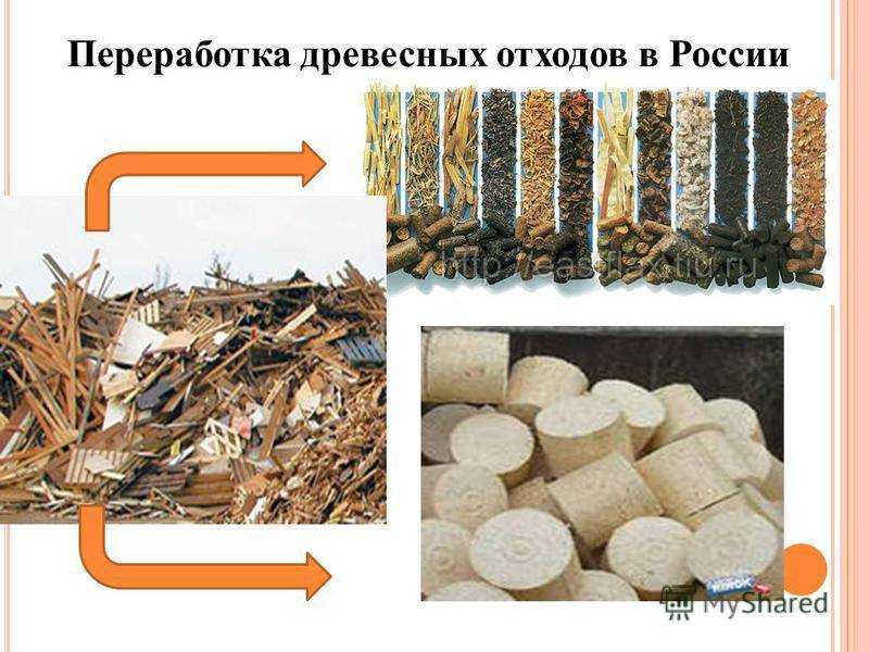 Агенты разложения древесины