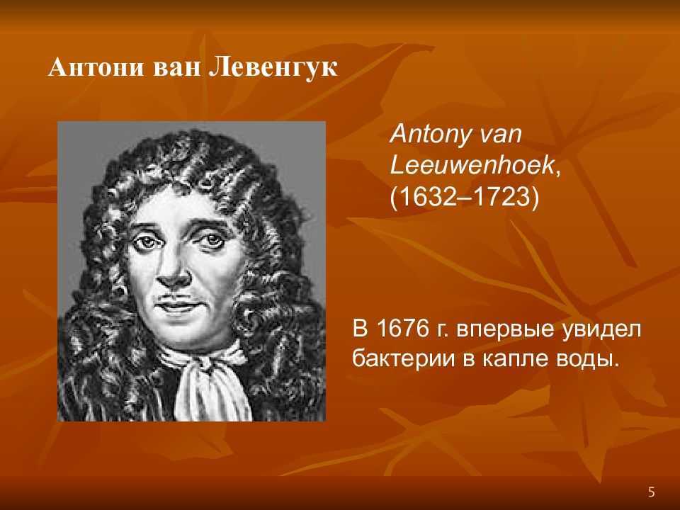 Антони ван левенгук — изобретатель микроскопа