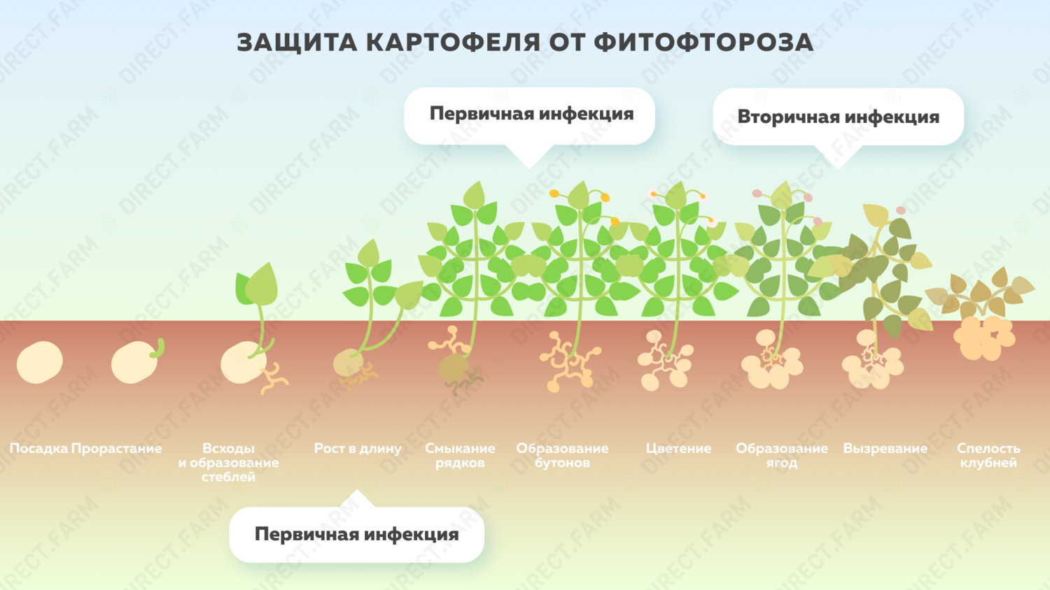 Агрохимия.  номер
 7, 2019