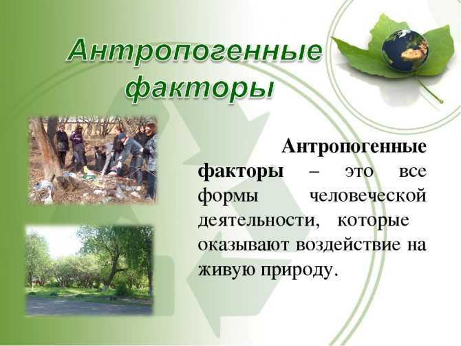Биология