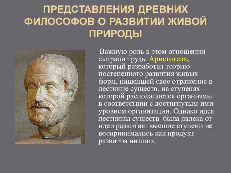 Античные воззрения на органический мир