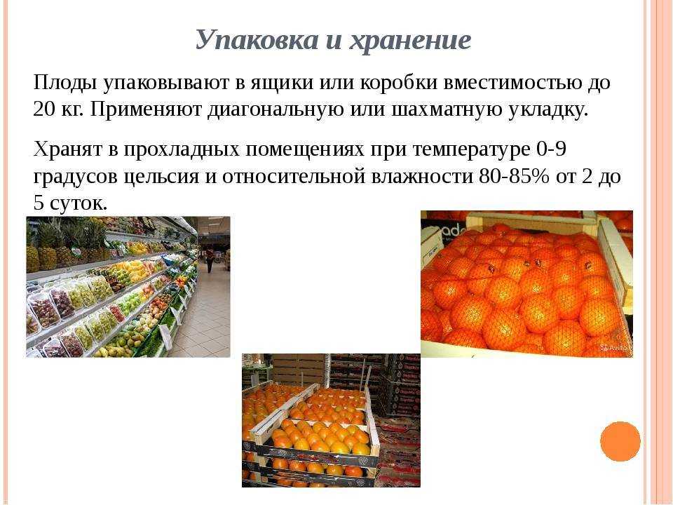 Хранение фруктов и овощей в ргс (регулируемой газовой среде)