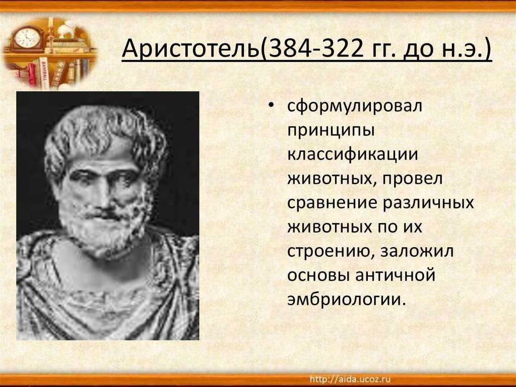 Обзор эволюционных представлений 11 класс онлайн-подготовка на ростелеком лицей | тренажеры и разбор заданий