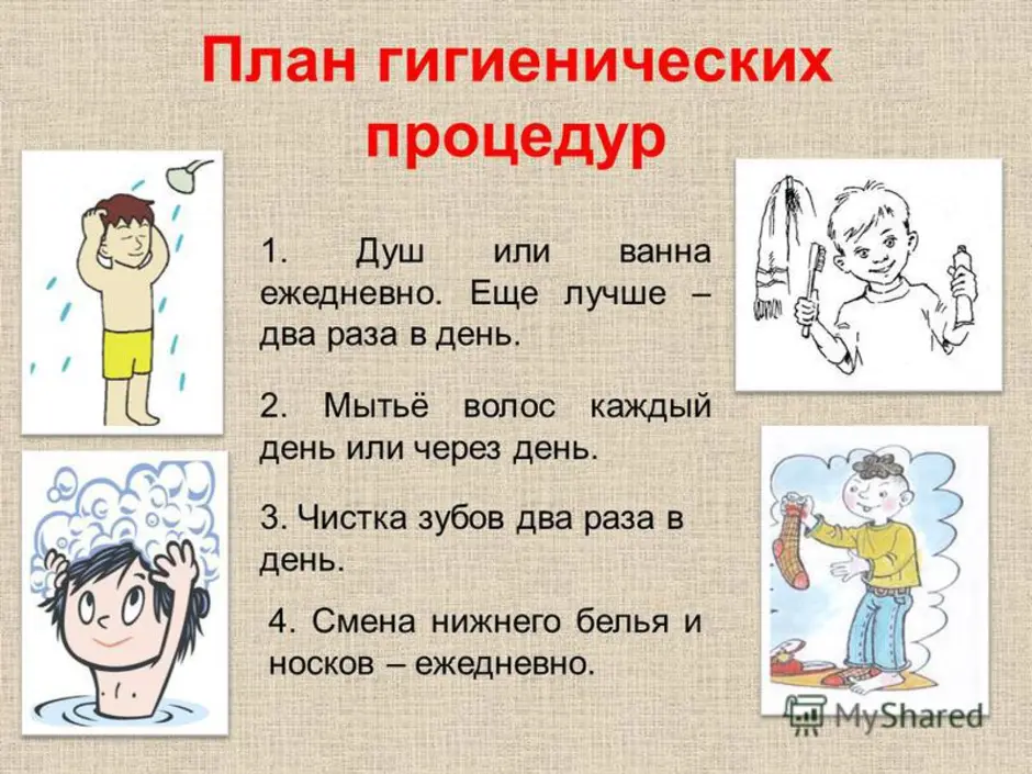 Гигиена содержания крупного рогатого скота. гигиена на животноводческих комплексах - курсовая работа