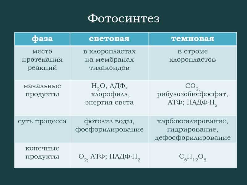Фотосинтез. воздушное питание растений.