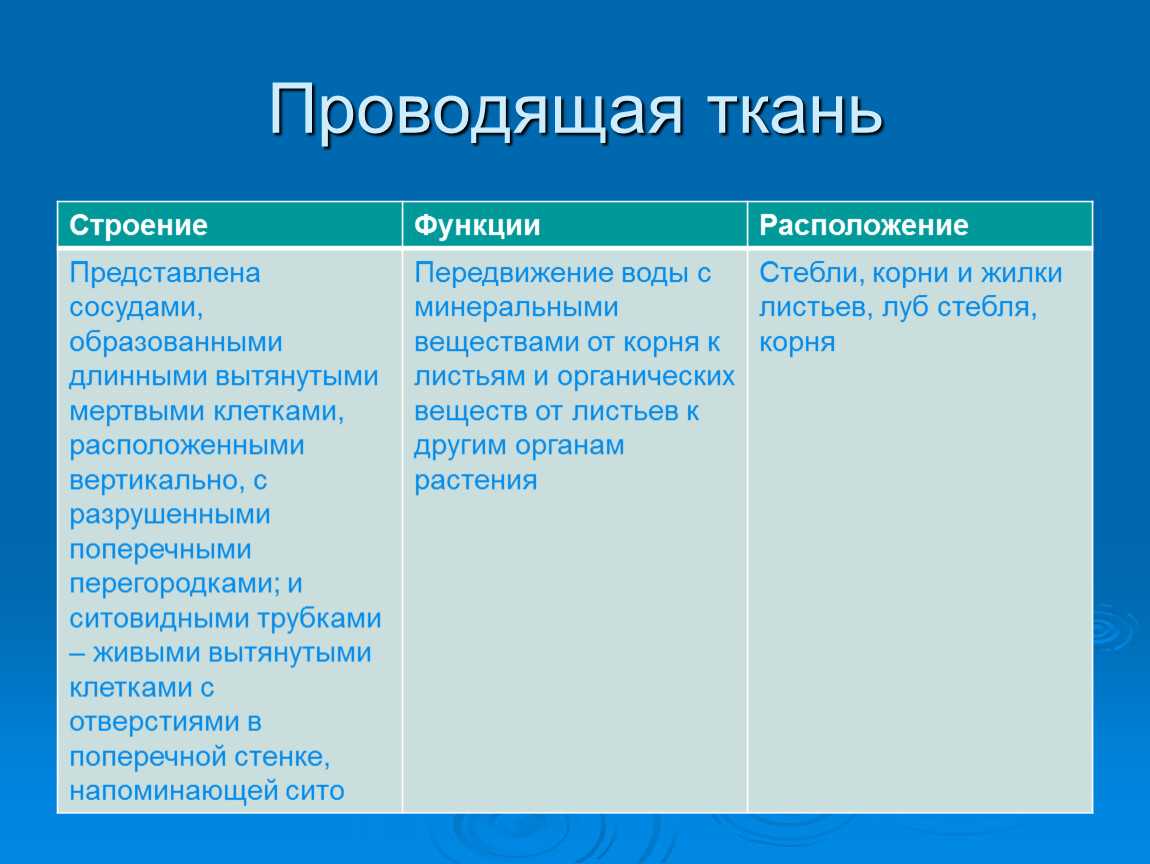 Проводящая ткань растений: строение, функции, ее значение в жизни > лаборатория фитоинвазий