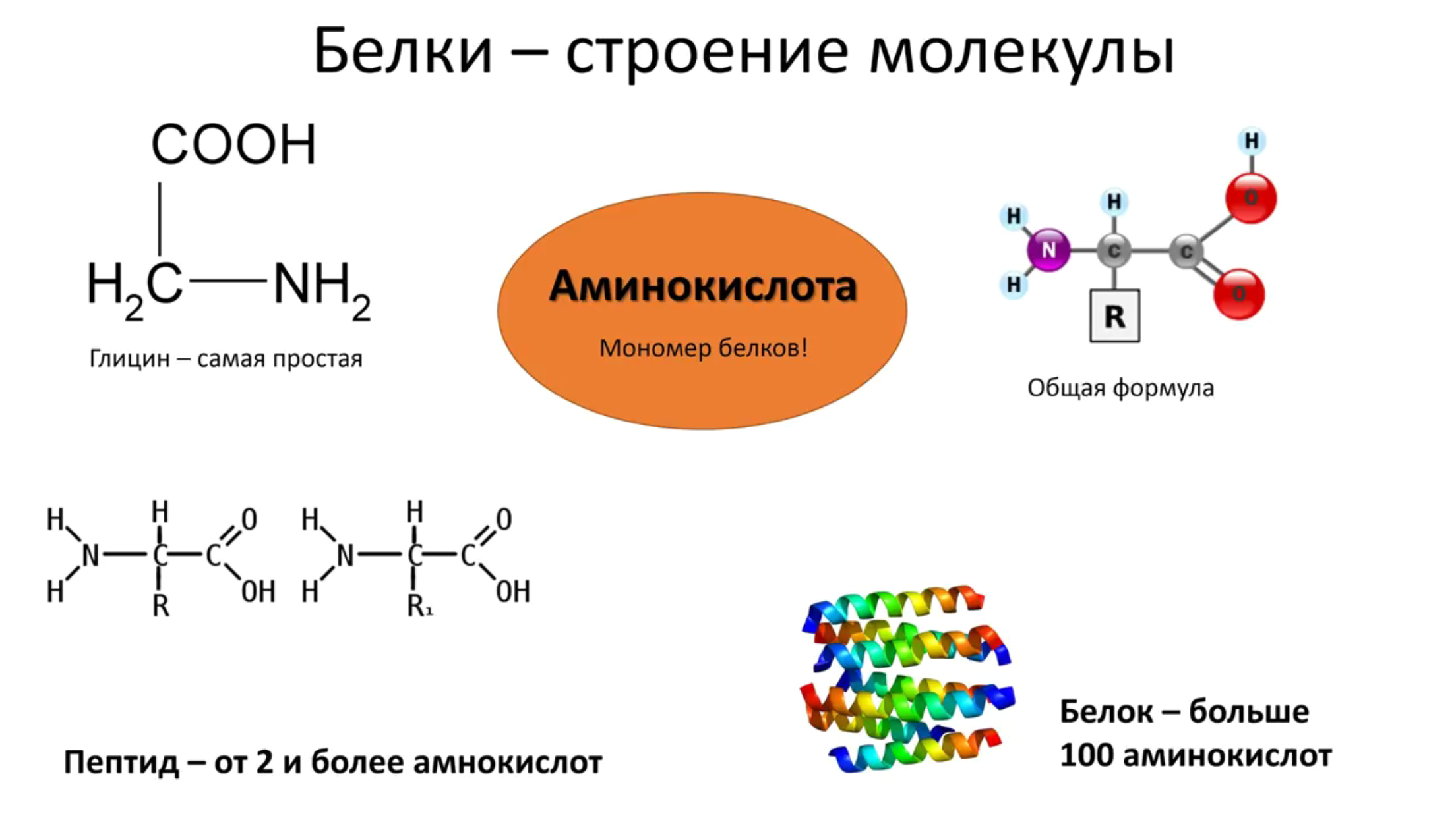 Химические и физические свойства белков, уравнения реакций белков