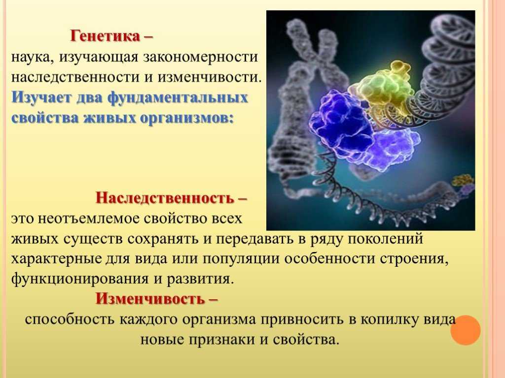 Закономерности наследственности