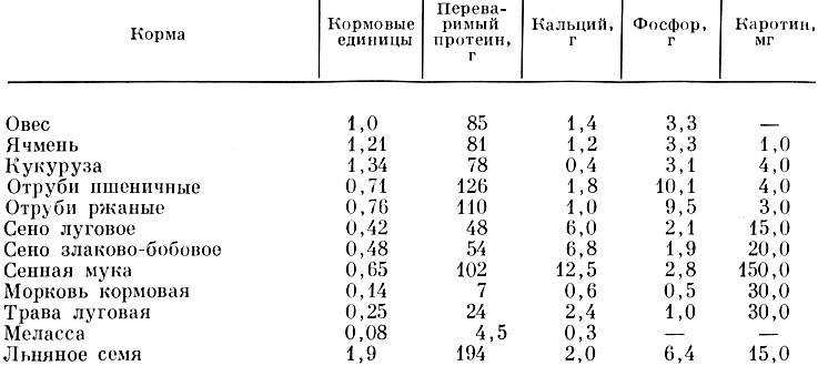Как правильно кормить и поить лошадь - noltrex в ветеринарии.