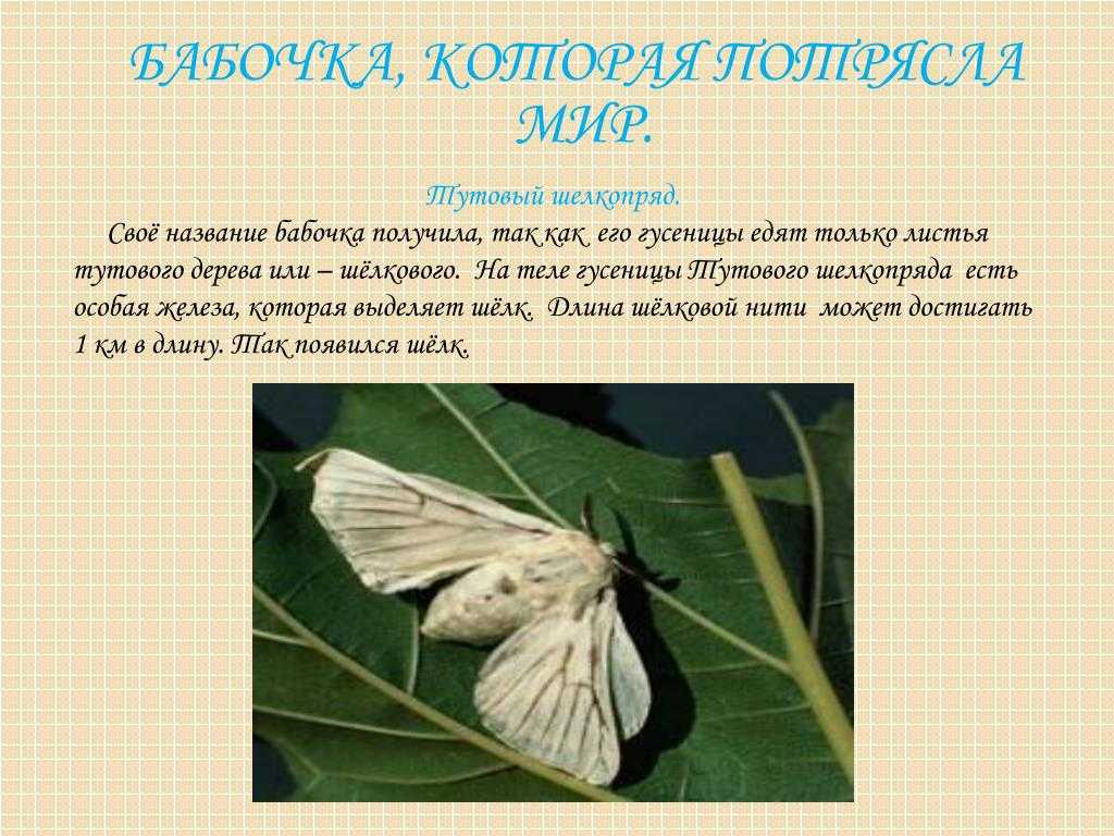 Катин а.я. с соавторами "биологические эффекты высоких разведений гидрофильных компонентов дубового шелкопряда" 2011 год - статьи отечественных авторов  - каталог статей - официальный сайт доктора теслина