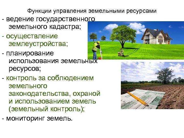 Что такое земельные ресурсы в географии?