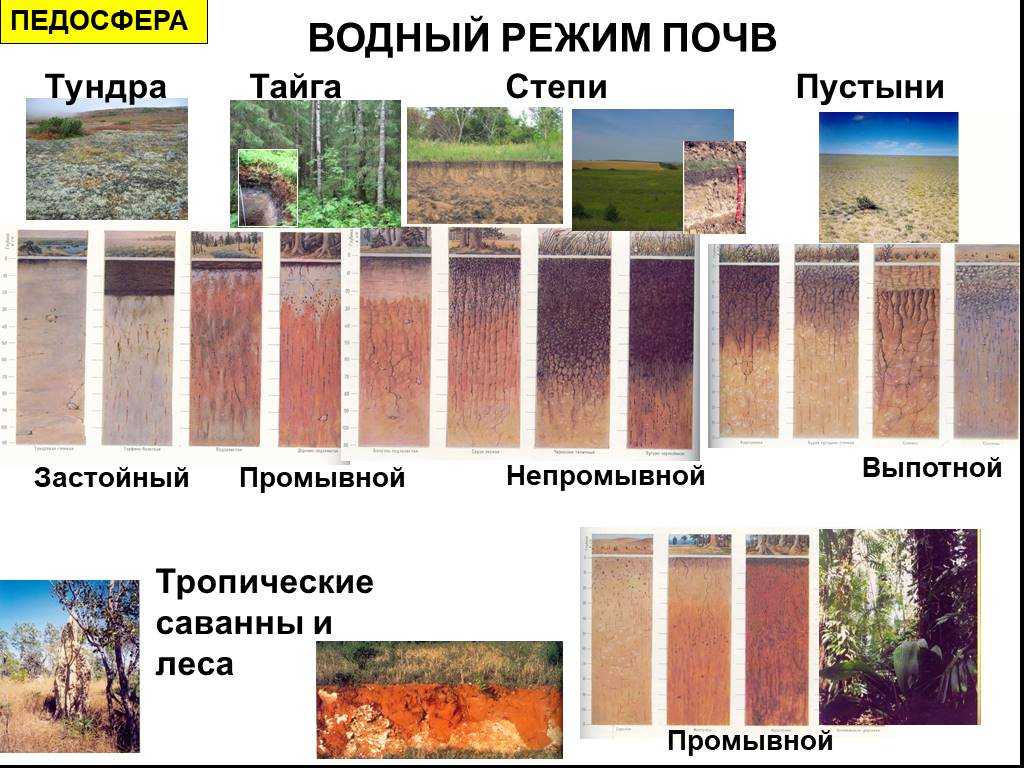 Водный баланс и свойства почвы, типы режима и пути его регулирования