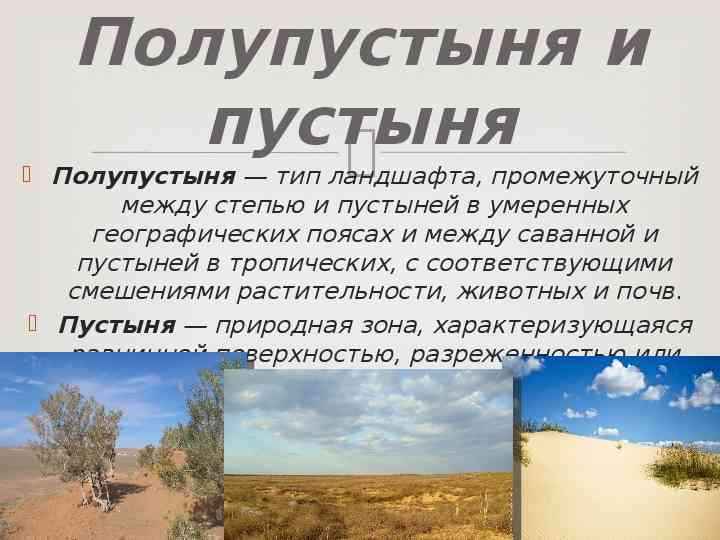 Пустыни и полупустыни евразии