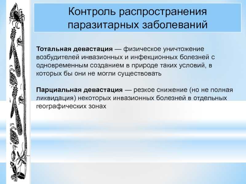 Учение скрябина о девастации и дегельминтизации кратко