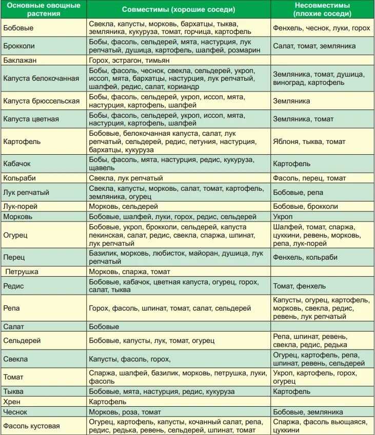 Предшественники и соседи овощных и плодово-ягодных культур: хорошие и плохие
