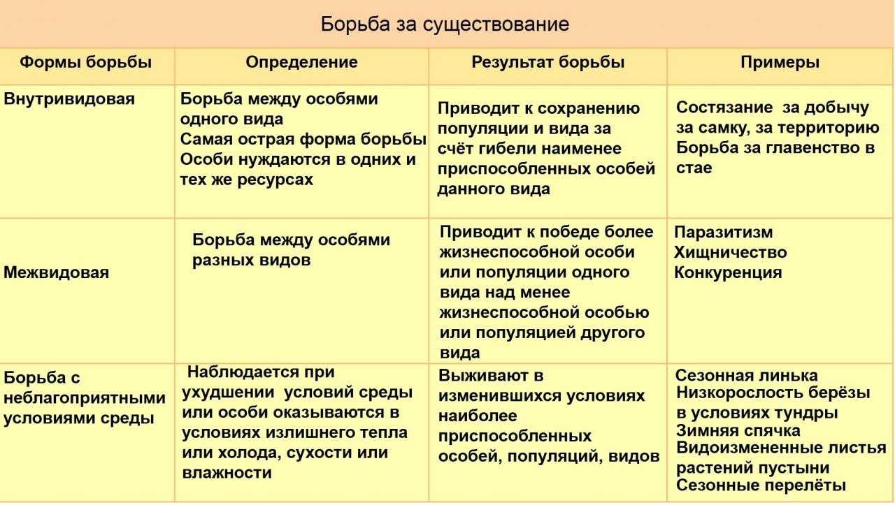 Что нужно знать о борьбе за существование — основные сведения