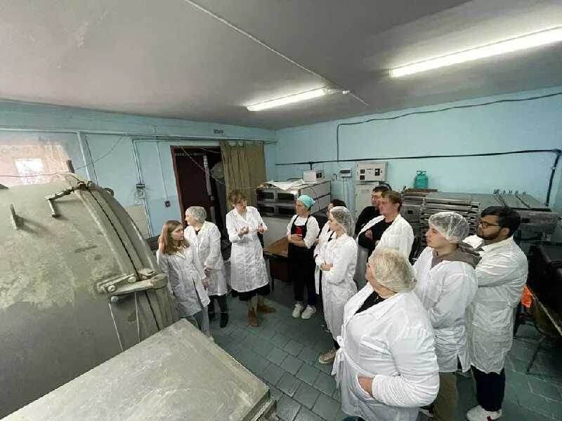 Сбор, сушка и хранение шиповника: сроки и правила заготовки на зиму