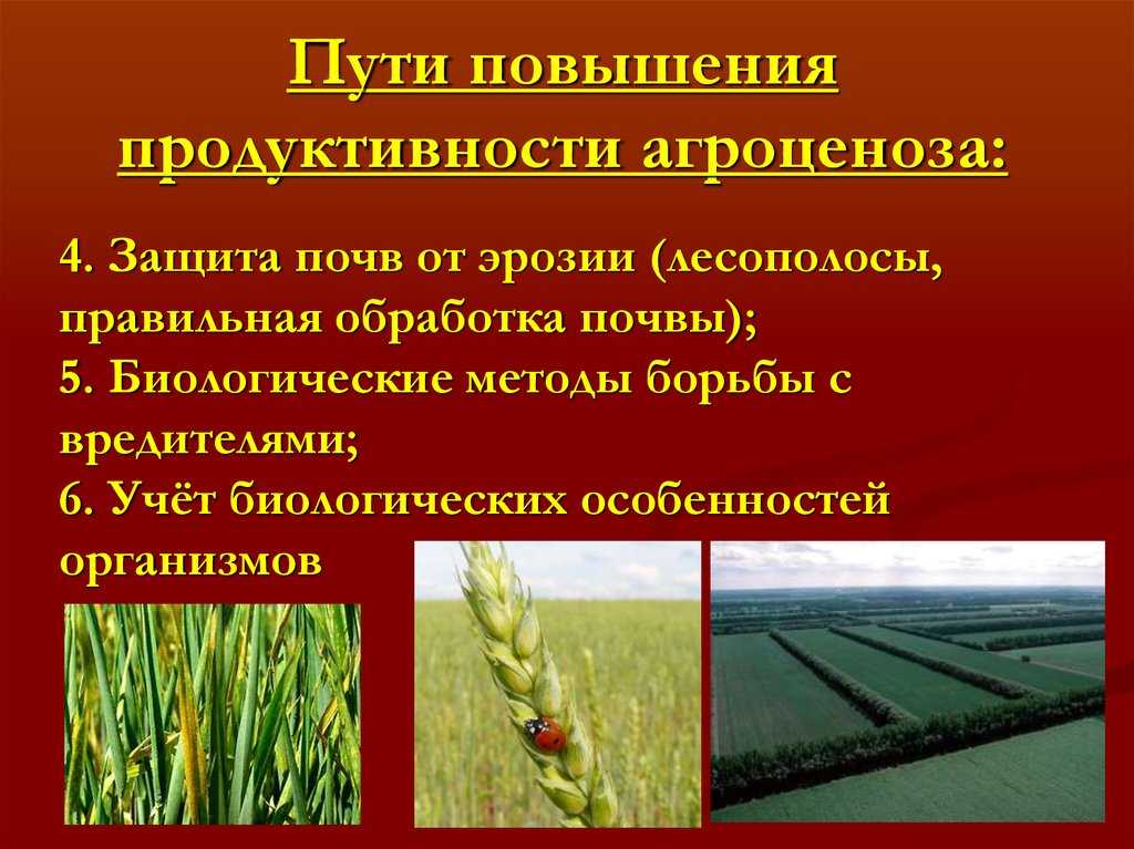 Часть i.  основы биотехнологии.  глава 1.  цели, задачи, современное состояние и перспективы развития биотехнологии - портал технологов пищевых производств и пищевых технологов