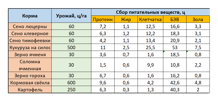 Кормовые культуры - виды семейства растений, список видов, фото и названия