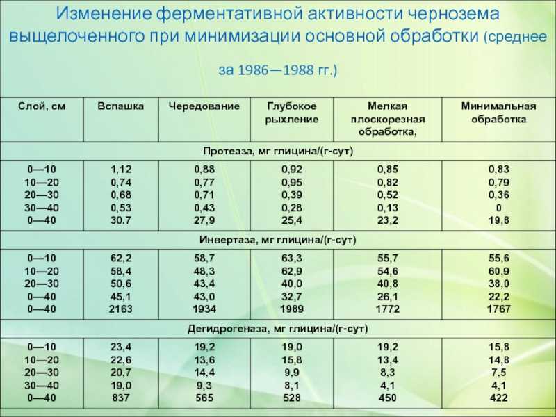 Удобрения на основе азота, фосфора и калия – источник питания для растений!