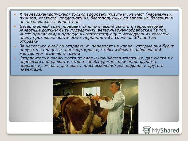 Зоогигиена - кочиш и.и. - учебник