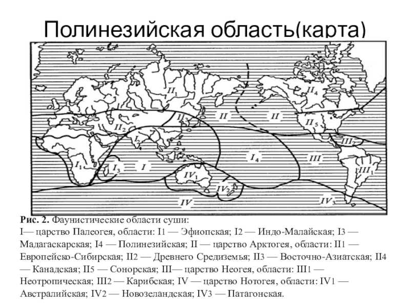 Глубоководные биомы - характеристики отдельных биогеографических регионов - разные схемы районирования - биогеография пелагиали мирового океана