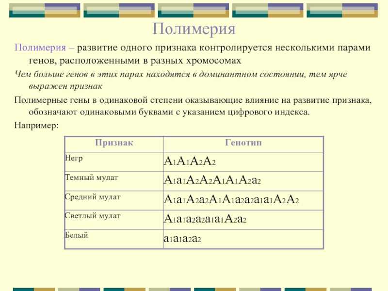 Закономерности наследственности