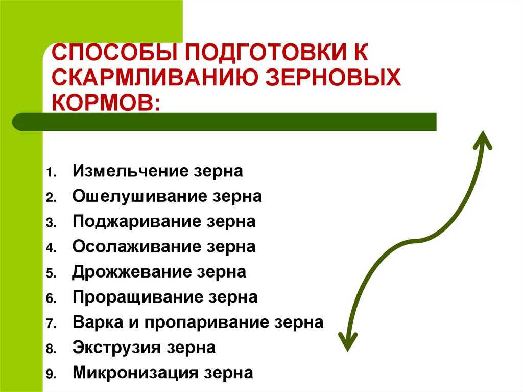 Что относится к концентрированным кормам