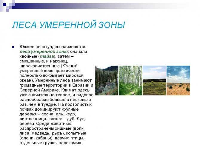 Озера умеренного климата: какие они и где расположены?