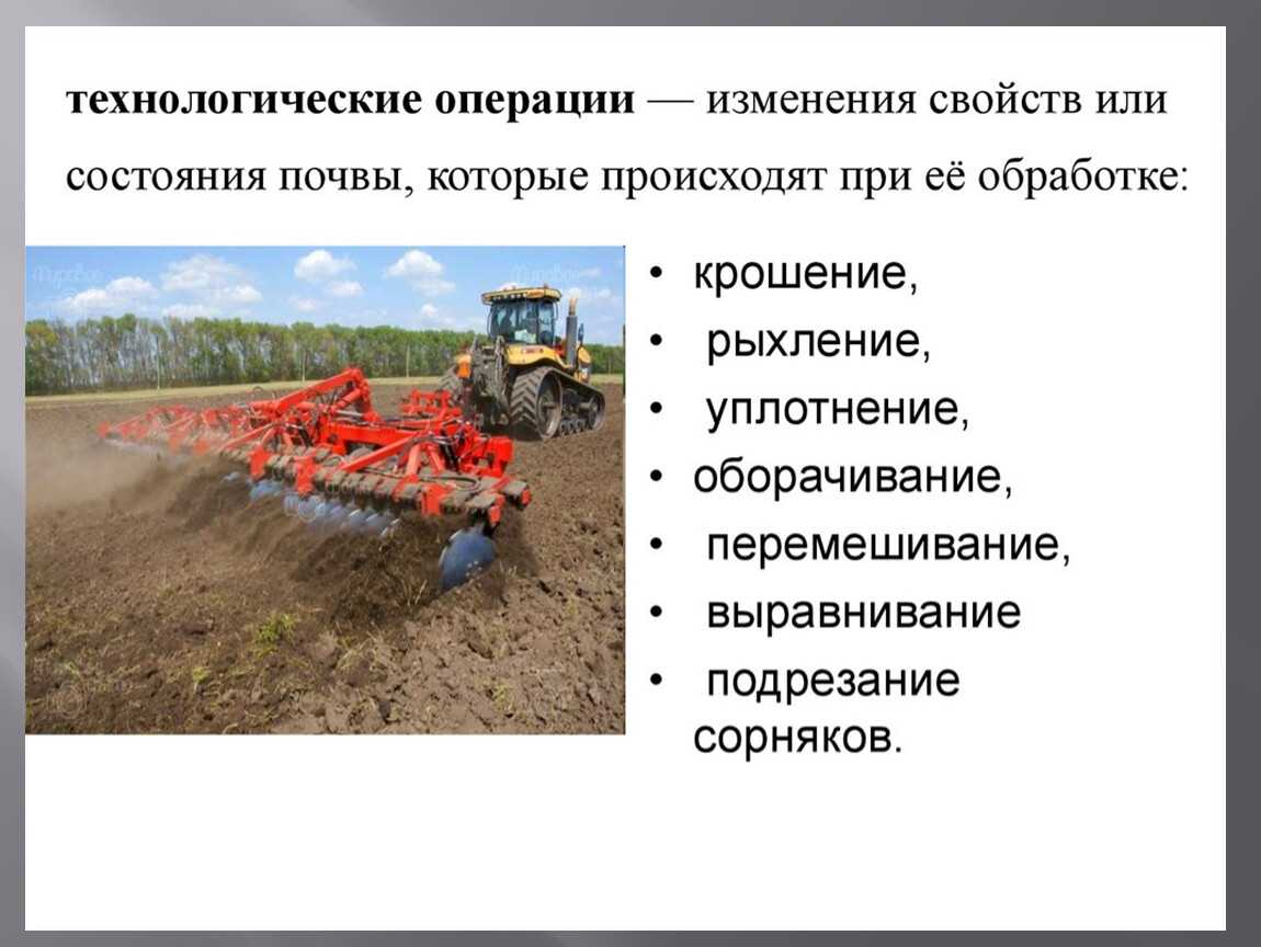 Полевые работы: суть, методы и значение