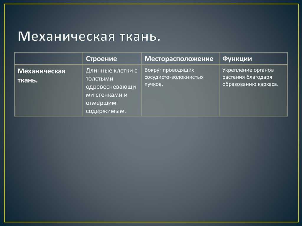 Растительные ткани - bio-lessons