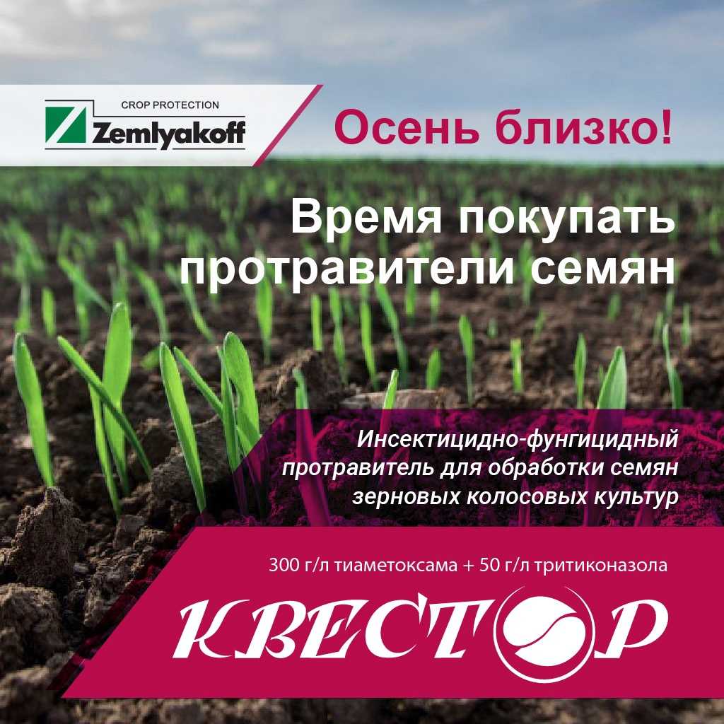 Биологическая и химические средства для защиты растений: способы применения, выбор формы и правила работы с пестицидами | cельхозпортал