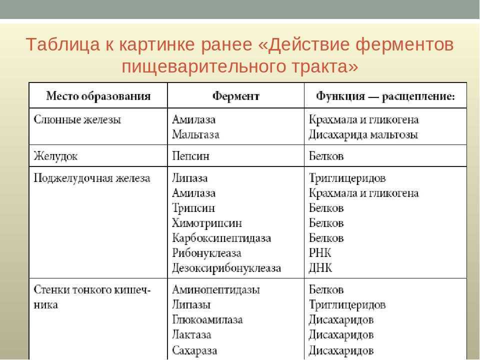 Ii. классификация и номенклатура ферментов