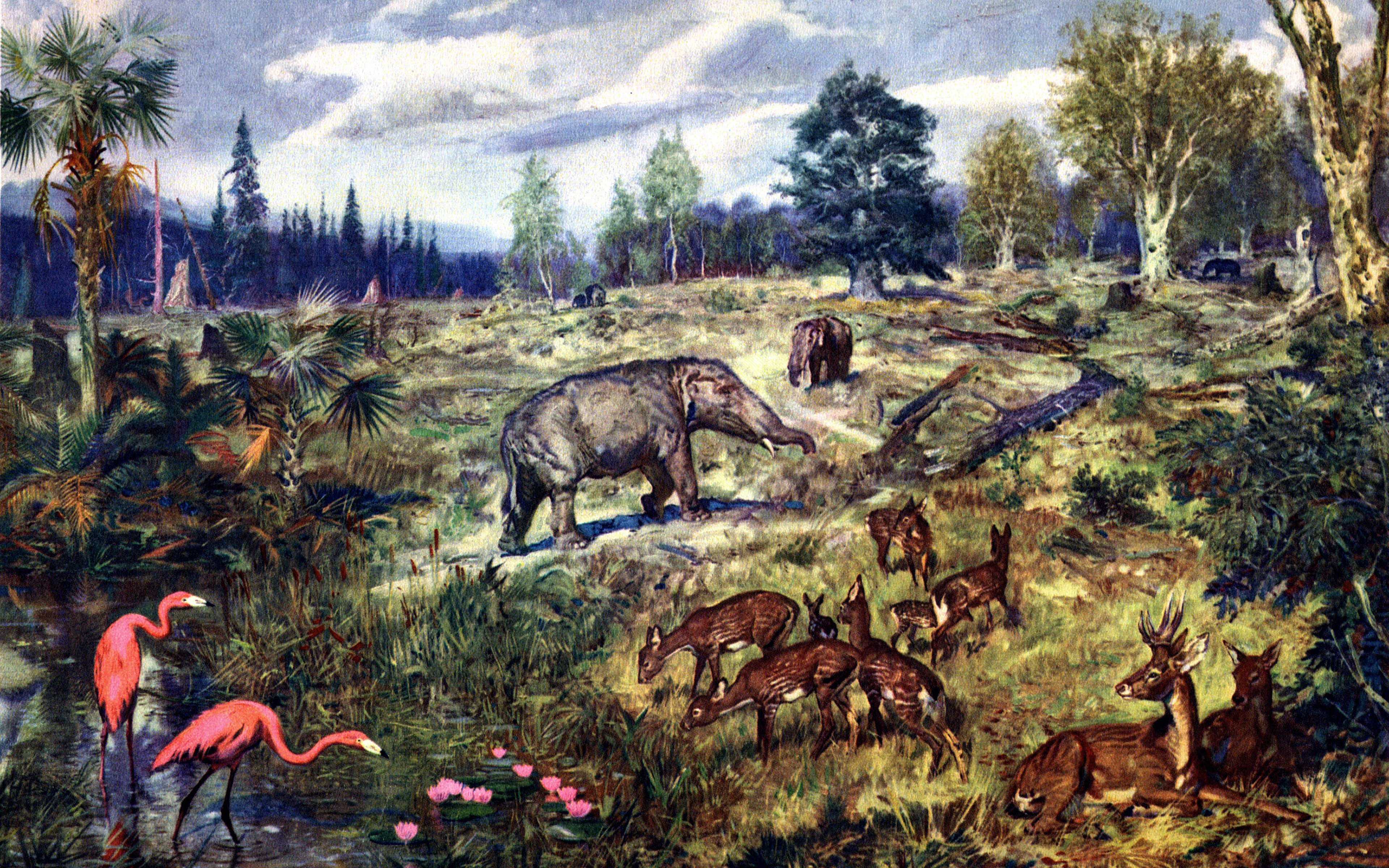 Кайнозойская эра: характеристики, периоды, геология, флора - наука - 2023