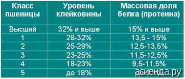 Проверка качества зерна: основные показатели качества