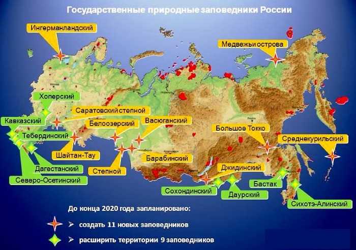 Размещение природных зон на земле - описание, закономерности и характеристика