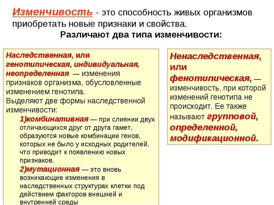 Модификационная изменчивость и ее значение в жизни организма, примеры и причины (11 класс, биология)