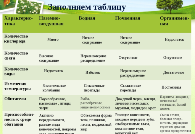Водоросли⭐️: какое строение имеют, особенности среды обитания, кратко, биология 5 класс
