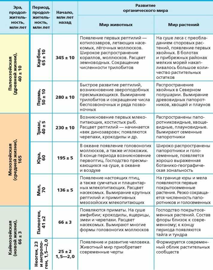 Что такое кайнозойская эра и развитие жизни на земле в кайнозойскую эру