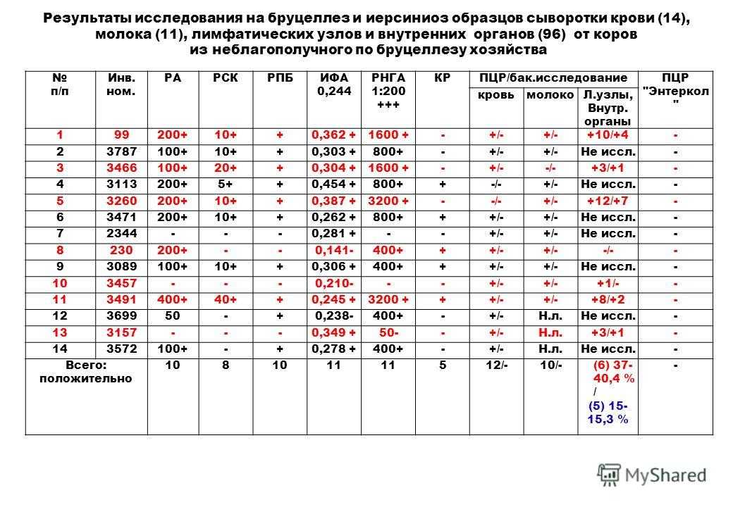 Бруцеллы | признаки, лечение и диагностика вгкб № 2