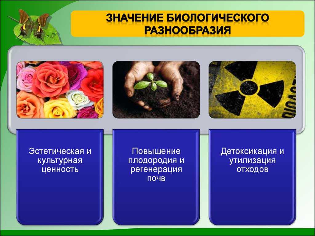 Советы по сбору, сушке и хранению семян