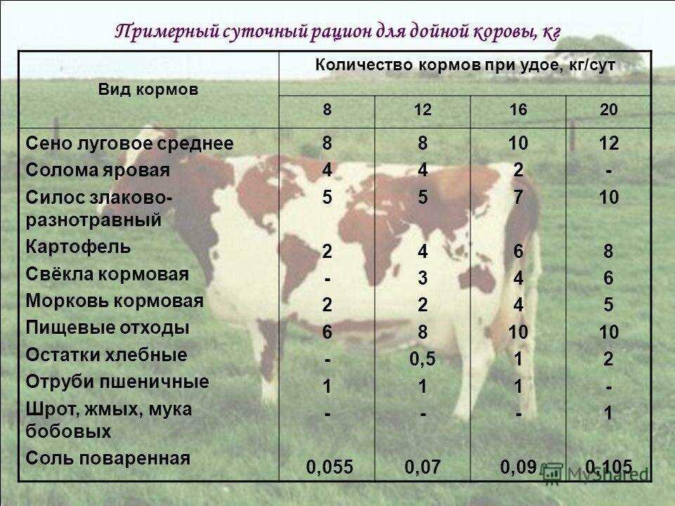 Грубые корма